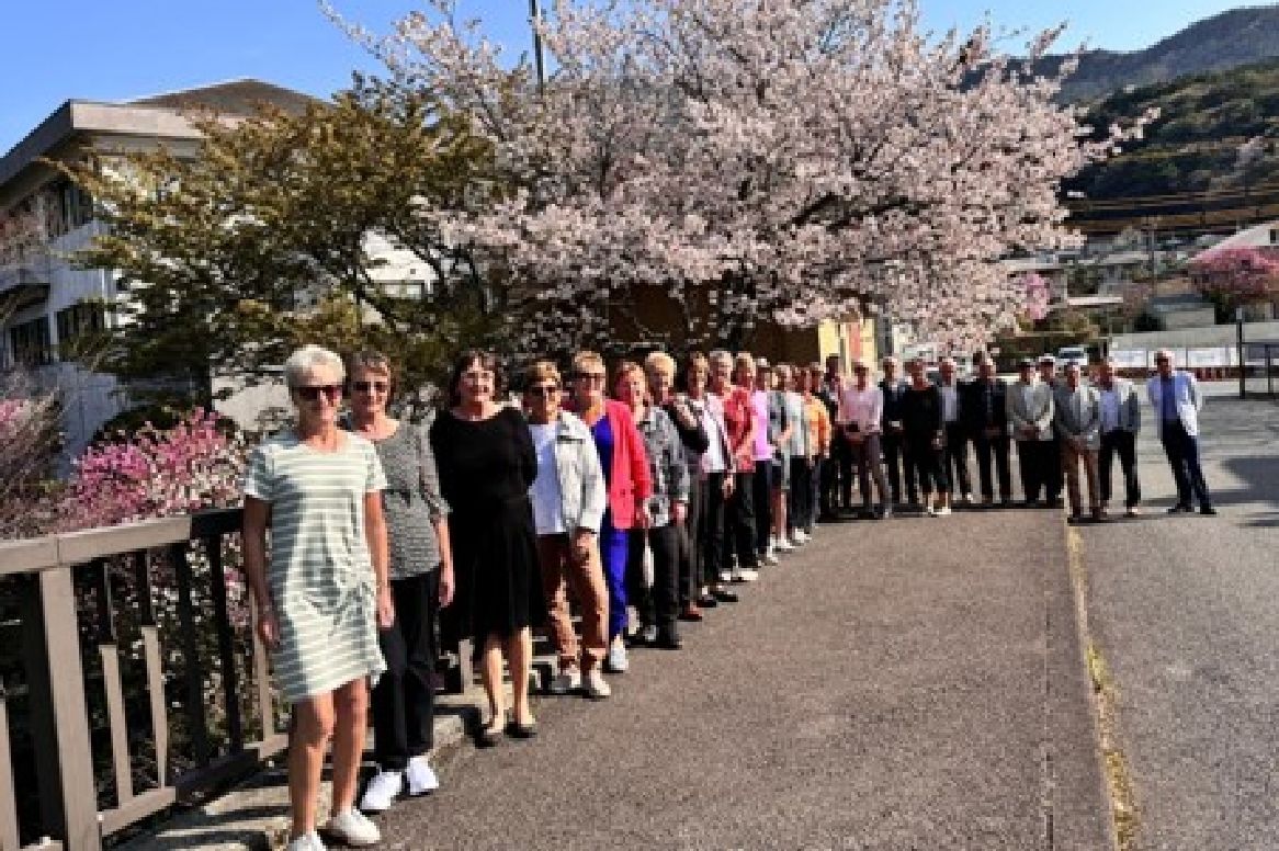 桜と一緒に撮影 大人数