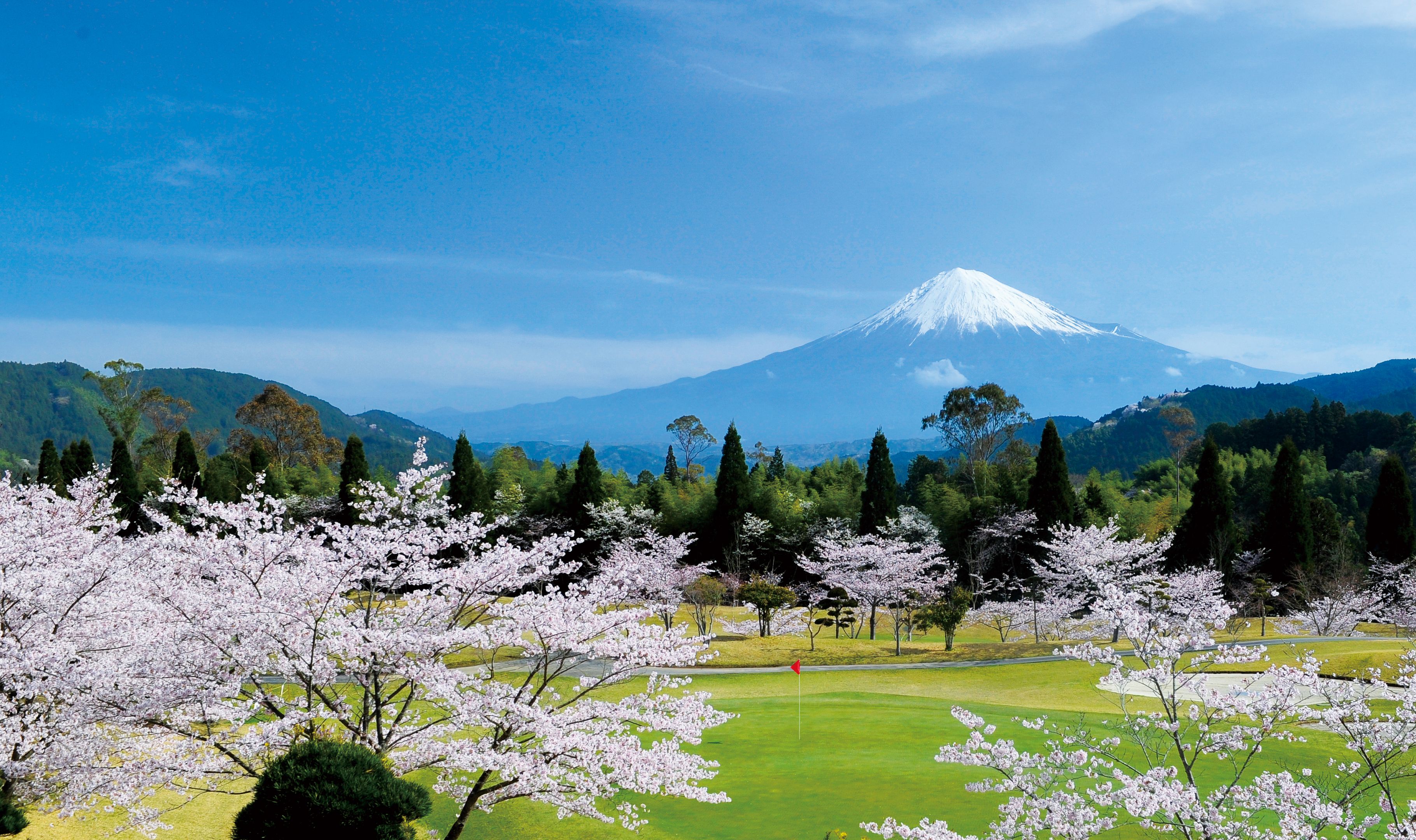ゴルフ場 奥に富士山